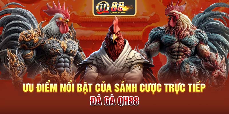 Ưu điểm nổi bật của sảnh cược trực tiếp đá gà QH88